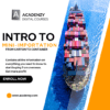 Mastering Mini-Importation: From Carton to Container
